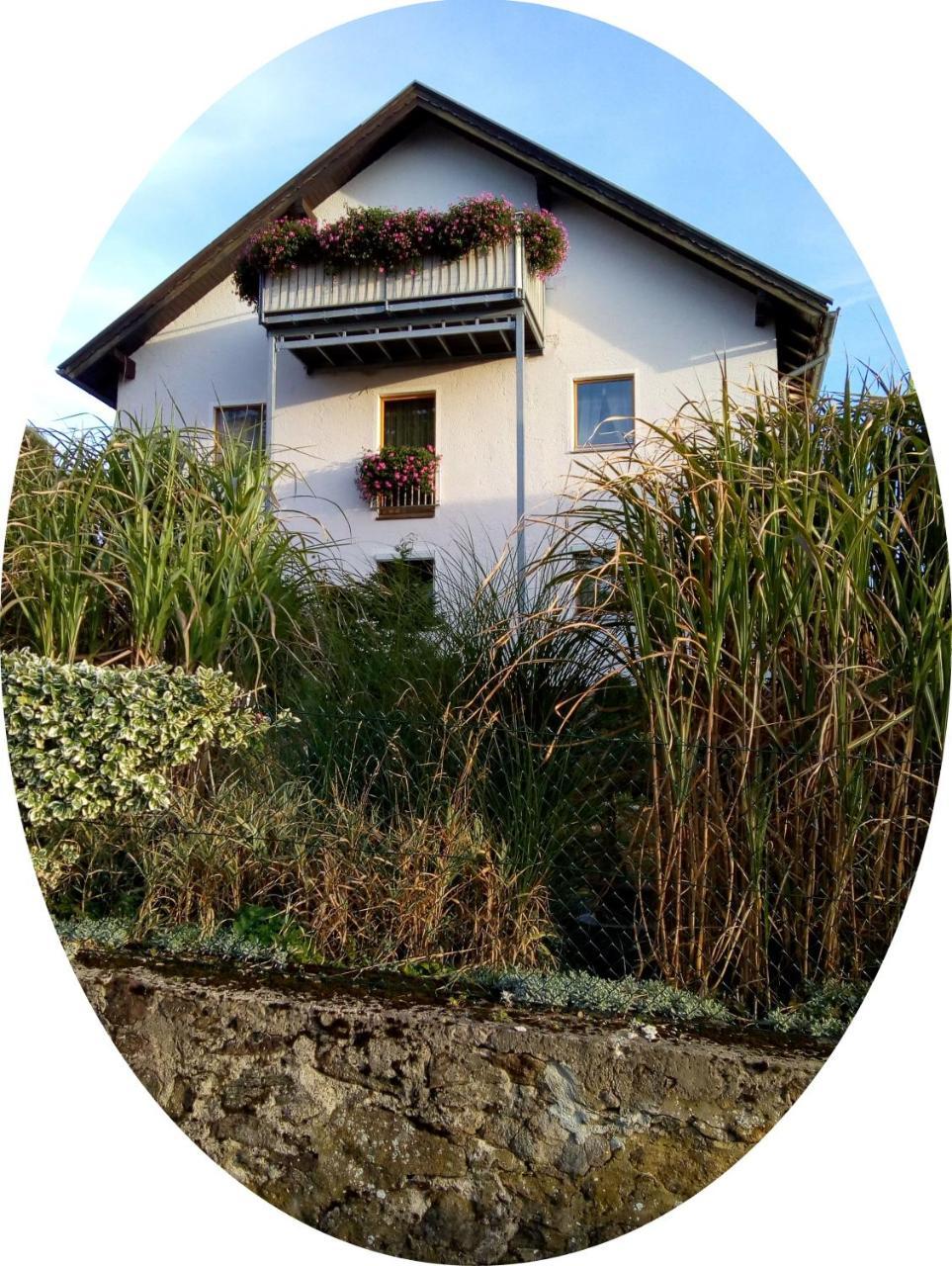 Ferienwohnung Uschkereit Waldmünchen エクステリア 写真